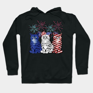 Funny Cats American Flag Patriotic 4th Of July Hoodie